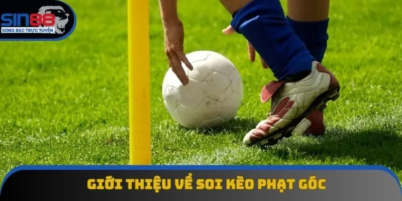Giới thiệu về soi kèo phạt góc